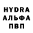 Амфетамин VHQ adidas ALeNa