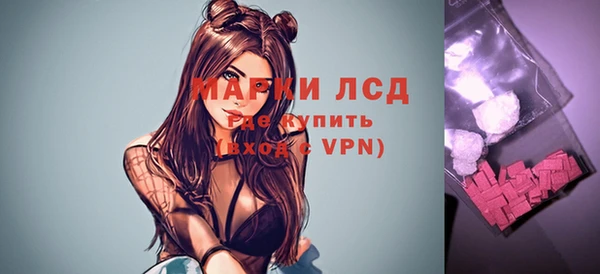 СК Новокубанск