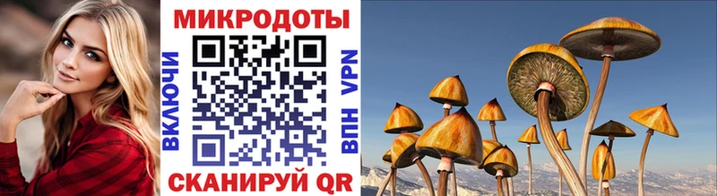 наркота  Нерехта  Галлюциногенные грибы мухоморы 